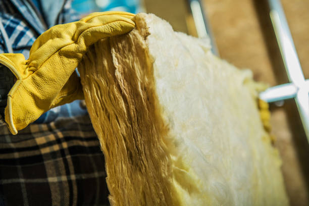 Best Geographic-Specific Insulation Services in Wellsburg, WV
