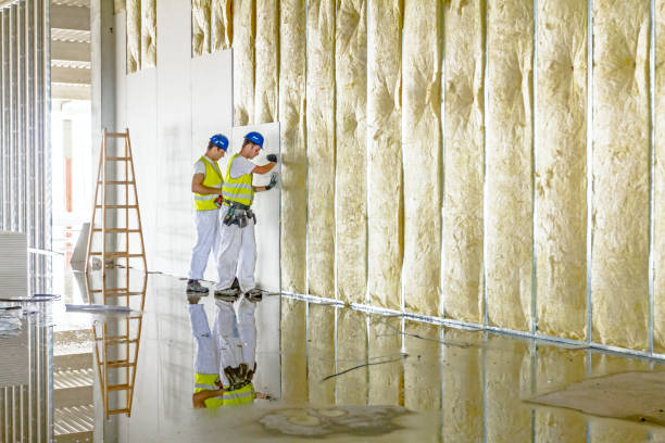 Best Insulation Maintenance and Repair in Wellsburg, WV